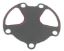 Picture of 180916 Sierra Marine Water Pump Gasket