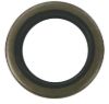 Picture of 182002 Sierra Marine Outboard Motor Oil Seal