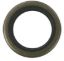 Picture of 182002 Sierra Marine Outboard Motor Oil Seal