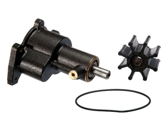 Picture of 1831601 Sierra Marine Water Pump