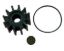 Picture of 1832761 Sierra Marine Water Pump Impeller