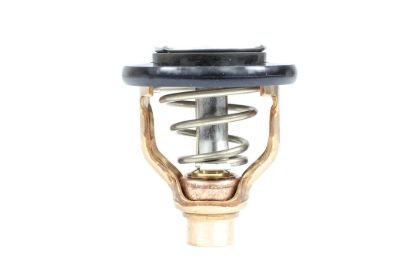 Picture of 183634 Sierra Marine Thermostat