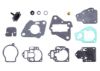 Picture of 187212 Sierra Marine Carburetor Rebuild Kit
