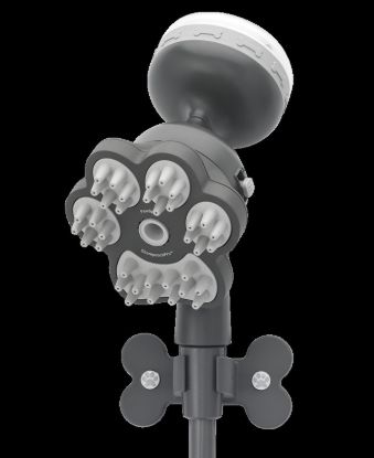 Picture of 78166 Oxygenics/ ETL Shower Head