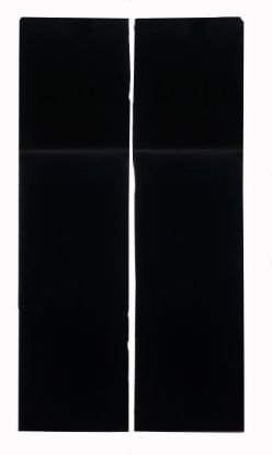 Picture of 9108750664 Dometic Refrigerator Door Panel