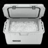 Picture of 9600028786 Dometic Outdoor Division Beverage Cooler