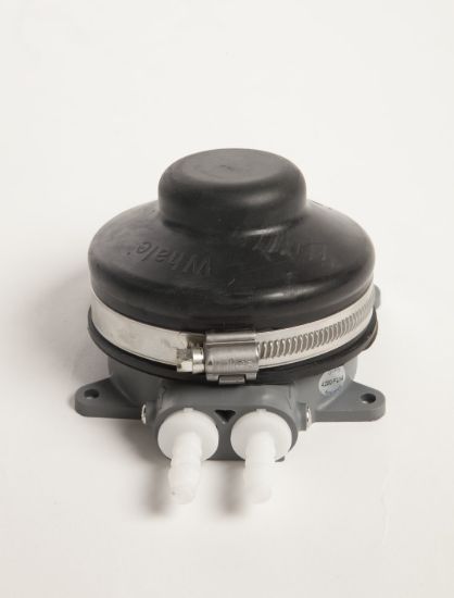 Picture of GP4634B WHALE Fresh Water Pump