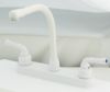 Picture of WI800RSW Empire Faucet Faucet