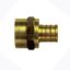 Picture of BestPEX  3/4" Hose Barb x 3/4" FPT Brass Fresh Water Straight Fitting 41130 88-9111                                          